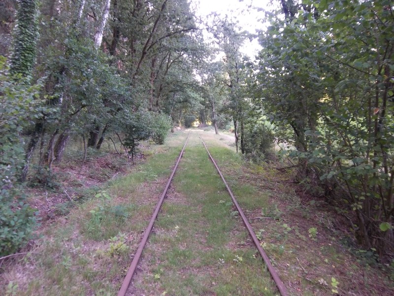 ZWNEGI15